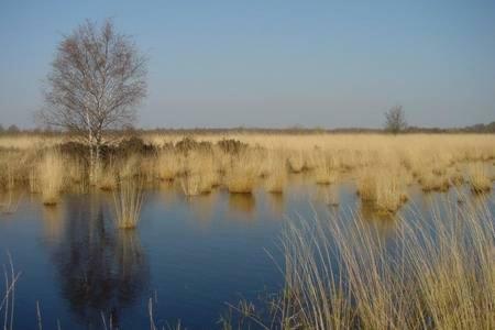 Appartement De Groote Peel Nederweert Екстериор снимка